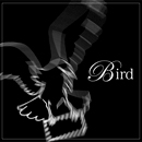 藤森 千恵子 / BIRD